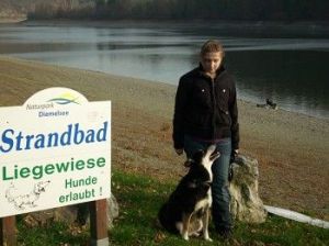 Auch die Vierbeiner können sich am
Hundebadestrand am Diemelsee vergnügen. - Bild 13: Ferienwohnung "Am Hemberg" (Region Diemelsee)