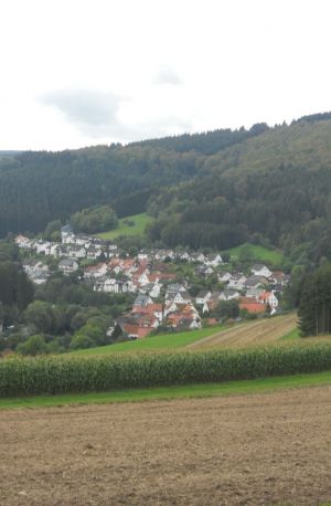 Ein Blick auf den Ferienort - Bild 2: Ferienwohnung "Am Hemberg" (Region Diemelsee)