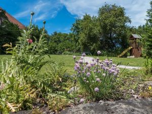 Bild 12: Ferien- und Seminarhaus Tannfeld