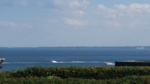 Hier sehen Sie eine Teilaussicht auf das Meer. Habe leider keine Panoramakamera, dann könnte ich den ganzen Blick aufnehmen. Aber das können Sie ja dann in Natura tun, wenn Sie hier sind! ;-) - Bild 5: Top-Haus, Ostsee, Lübecker Bucht, Meerblick Hunde