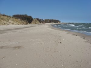 Hier sehen Sie einen kleinen Teil des sehr langen Strandes. Dieser Teil, den Sie direkt über den Zugangsweg erreichen, ist im Sommer der offizielle Hundestrand. Ansonsten können Sie den kompletten Strand nutzen, außer Mitte Mai bis Ende September. - Bild 13: Top-Haus, Ostsee, Lübecker Bucht, Meerblick Hunde