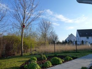 Bild 5: Kinder- u. hundefeundliches Ferienhaus in Binz, hell u. modern, mit Garten