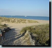 Traumhaft schöne Strände auf der Ile d'Oléron (rd. 35 km) - Bild 9: Ferienwohnung Suzanne, SW-Frankreich, Nähe Atlantik, Hunde willkommen