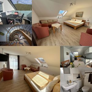 1 Zimmer-Apartment mit kombiniertem Wohn-Schlafzimmer (Doppelbett 1,80x2,00 m, Schlafcouch) Flachbild TV, Wecker, großer Balkon. Separate Wohn-Eßküche mit Blick zum Weinberg, kleines Bad mit Dusche/WC. Kleiderschrank, Safe und Garderobe im Flurbereich. - Bild 4: Gästehaus Sommertal in Meersburg am Bodensee