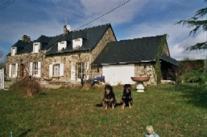 Bild: typ. Normandiehaus für Urlaub mit dem Hund mit eingez. Garten