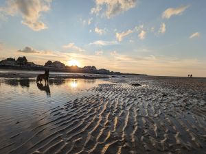 Bild 14: Ferienhaus "Strandmöwe" nur 50 m vom Strand entfernt in Denneville.