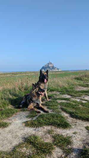 Bild 10: Ferienhaus "Strandmöwe" nur 50 m vom Strand entfernt in Denneville.