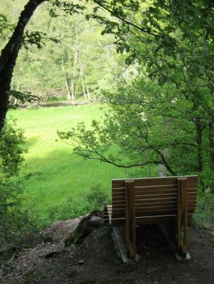 Ruhe und Erholung im schönen Alfbachtal am 2-Bäche-Pfad. - Bild 13: Eifel-Mosel ***Ferienwohnung Alte Schmiede II
