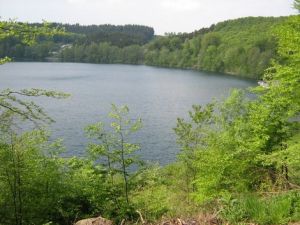 Das Pulvermaar in Gillenfeld ist eines der vielen Maare der Vulkaneifel. Die Augen der Eifel!
Schwimmen, Boot fahren, Cafe, wandern... - Bild 15: Eifel-Mosel ***Ferienwohnung Alte Schmiede II