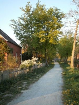 Hier können Sie nach Herzenslust radfahren, joggen, Hund gassi führen, angeln, spazieren gehen direkt vor der Tür. - Bild 3: Haus am Fluß, Garten, Nordseenähe, Familien,Paare,Singles, Hund kostenlos