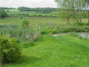 vom Garten ins Tal - Bild 11: Ferienhaus Domaine du Val des Ragondins im Burgund