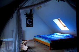 genannt Bangladesh - Bild 5: Ferienhaus Domaine du Val des Ragondins im Burgund