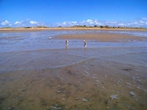 Bild 17: Les Sablons: Ferienhaus mit Hund am Strand Lindbergh-Plage : Sea-n-Dogs