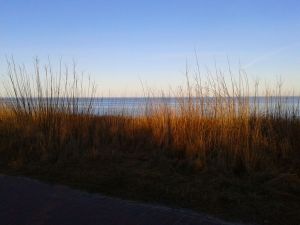 Bild 13: Ferienhaus an der Ostsee in Damp von privat