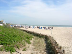 Bild 10: Ferienhaus an der Ostsee in Damp von privat