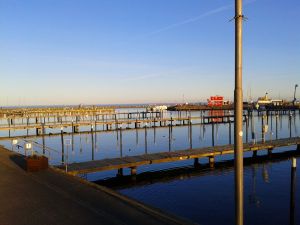 Bild 11: Ferienhaus an der Ostsee in Damp von privat