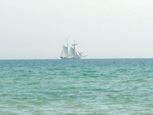Bild 8: Ferienhaus an der Ostsee in Damp von privat