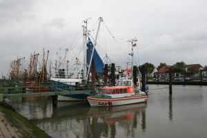 ein schöner Strand oder Deichspaziergang, nur ca. 2Km entfernt. - Bild 14: Ferienhaus am Strand/Indoorspielhalle mit WLAN-Anschluss