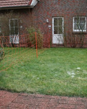 Damit auch Ihr Hund mal alleine vor die Tür kann - Bild 17: Ferienhaus am Strand/Indoorspielhalle mit WLAN-Anschluss