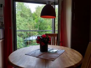 Blick ins Grüne - Bild 17: Ferienwohnung Delattre in der Südeifel