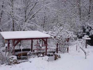 Winterblick in den Garten - Bild 27: Ferienwohnung Delattre in der Südeifel