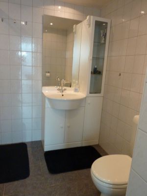 Bild 6: Urlaub mit Hund - Ferienbungalow Holland Burgh-Haamstede