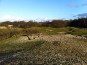 Bild 12: Urlaub mit Hund - Ferienbungalow Holland Burgh-Haamstede