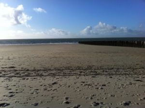 Bild 10: Urlaub mit Hund - Ferienbungalow Holland Burgh-Haamstede