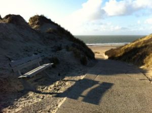 Bild 11: Urlaub mit Hund - Ferienbungalow Holland Burgh-Haamstede