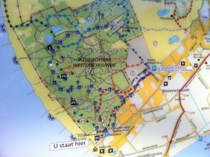 Bild 9: Urlaub mit Hund - Ferienbungalow Holland Burgh-Haamstede