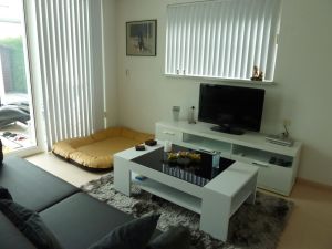 Bild 2: Urlaub mit Hund - Ferienbungalow Holland Burgh-Haamstede