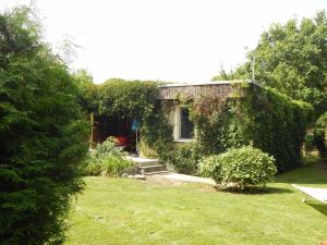 Unser mit wildem Wein bewachsenes Ferienhaus in ruhiger Lage mit eingezäunten Grundstück ! - Bild 3: Ferienhaus im Grünen für 2 - und 4 - beiner