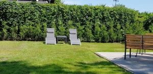 Bild 10: Ferienhaus Swölke mit eigenem eingezäunten Garten - Feldberger Seenplatte