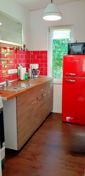 Bild 4: Ferienhaus Swölke mit eigenem eingezäunten Garten - Feldberger Seenplatte