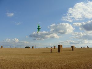 Bild 14: Ferienhaus Stahlbrode Nr. 192, ca. 100m zum Wasser, Zaun, Hunde willkommen