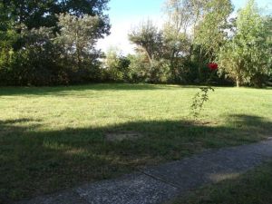 Bild 13: Ferienhaus Stahlbrode Nr. 192, ca. 100m zum Wasser, Zaun, Hunde willkommen