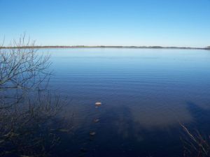 Bild 16: Ferienhaus Stahlbrode Nr. 192, ca. 100m zum Wasser, Zaun, Hunde willkommen
