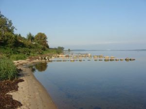 Bild 15: Ferienhaus Stahlbrode Nr. 192, ca. 100m zum Wasser, Zaun, Hunde willkommen