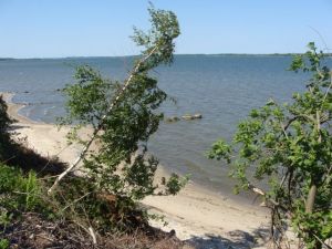 Bild 19: Ferienhaus Stahlbrode Nr. 192, ca. 100m zum Wasser, Zaun, Hunde willkommen