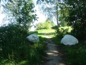 Bild 20: Ferienhaus Stahlbrode Nr. 192, ca. 100m zum Wasser, Zaun, Hunde willkommen