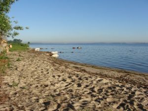 Bild 18: Ferienhaus Stahlbrode Nr. 192, ca. 100m zum Wasser, Zaun, Hunde willkommen