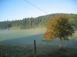 Bild 20: Galerie Fewo "Widercherie" 1 OG, 2 Pers. Balkon, w-lan