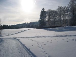 Bild 23: Galerie Fewo "Widercherie" 1 OG, 2 Pers. Balkon, w-lan