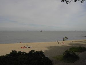 für Hunde zugänglich - Bild 15: Ferienhaus Marisol in Dangast, strandnah, 80 qm 6 Personen, Urlaub mit Hund