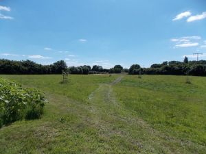 Bild 11: Ferienhaus alte Schmiede Habertwedt