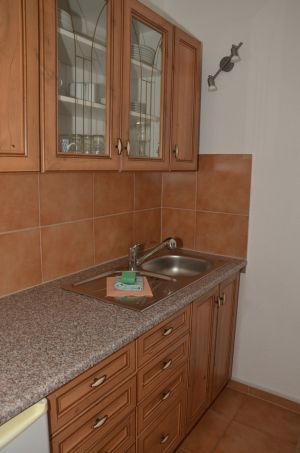 Bild 7: hund-tastische Ferien bei den Koestis - FeWo "Warnemünde"