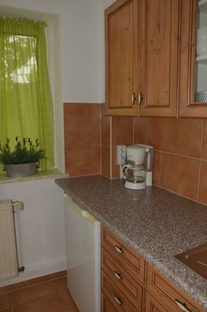 Bild 8: hund-tastische Ferien bei den Koestis - FeWo "Warnemünde"