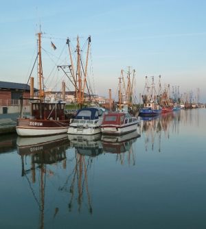 Bild 16: Ferienwohnung Roth, Hund erlaubt und WLAN