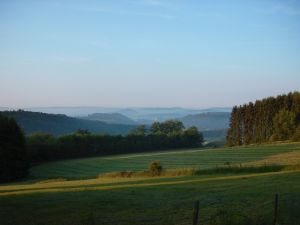 Bild 9: Omas Häuschen - Urlaub mit Hund - Eifel