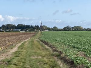 Bild 21: Urlaub mit Hund an der Ostsee